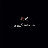 دانلود آهنگ گل پر پر مهدی دارابی